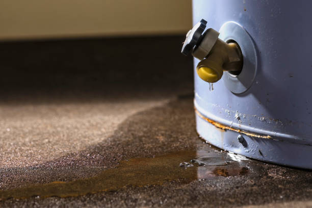 Best Water damage contractors near me  in Buttonwillow, CA