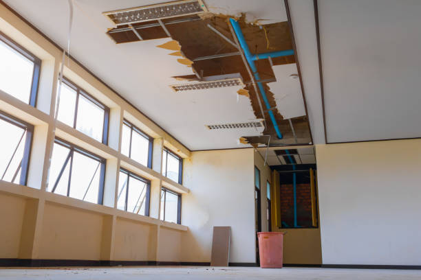  Buttonwillow, CA Water damage restoration Pros