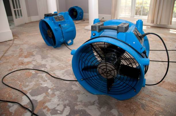 Best Sewage cleanup and water damage restoration  in Buttonwillow, CA
