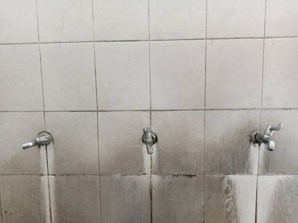 Best Local water damage restoration  in Buttonwillow, CA