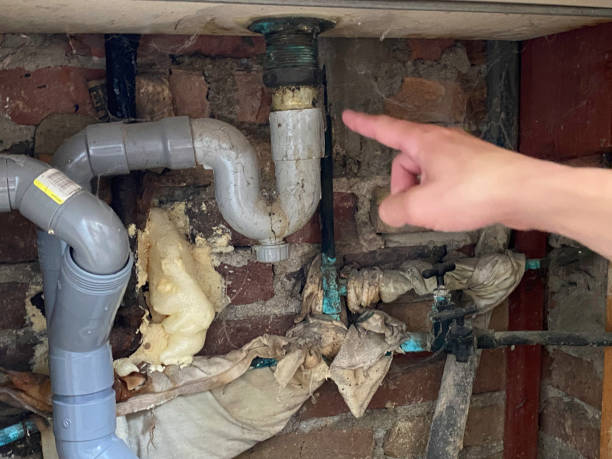 Best Basement water damage restoration  in Buttonwillow, CA