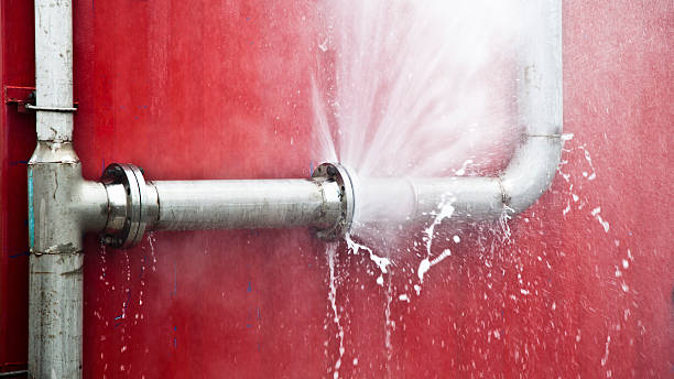 Best Basement water damage restoration  in Buttonwillow, CA